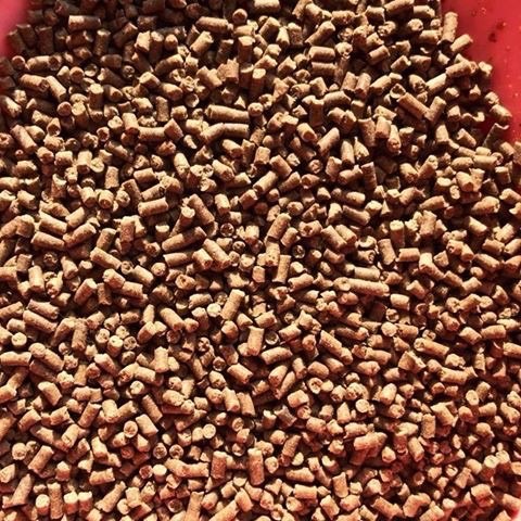 零售飼料