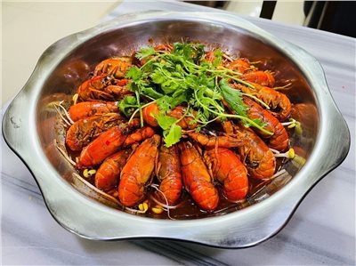 澳洲小龍蝦(澳龍)/15-20尾斤 零買1斤